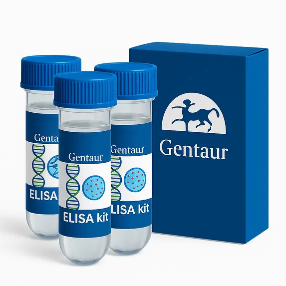 Mouse alpha Macroglobulin ELISA Kit (Urine and Cell Culture Samples) 13 Kit (96 Wells) - 1 Kit