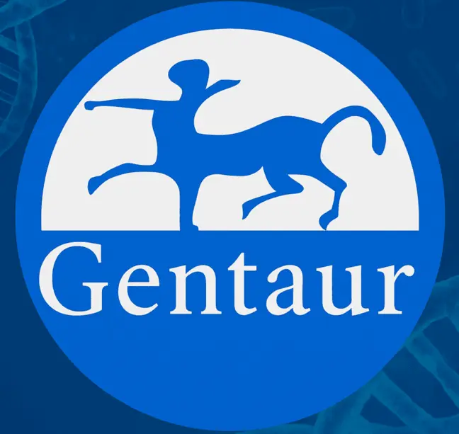 PIK3 gamma (Thr1024) Polyclonal Antibody, Biotin Conjugated - 100 µL