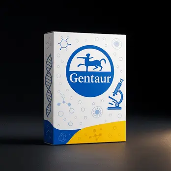 Gentaur Maxi Plasmid Extraction Kit, Ion Exchange - 10 prep
